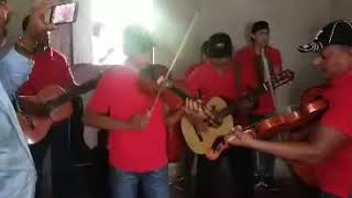 Niño de oro , estilo los Tucanes de langue, Valle