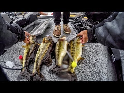 My BEST Day Out On The NEW BOAT!! INSANE Frog Fishing!