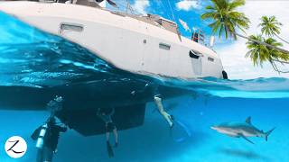 Boat Work in Paradise! But we also swim with sharks & dolphins! 🦈 🐬 (Ep 356)