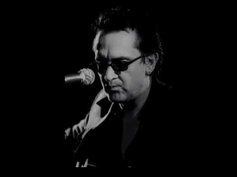 Wayne Hussey   With or Without You