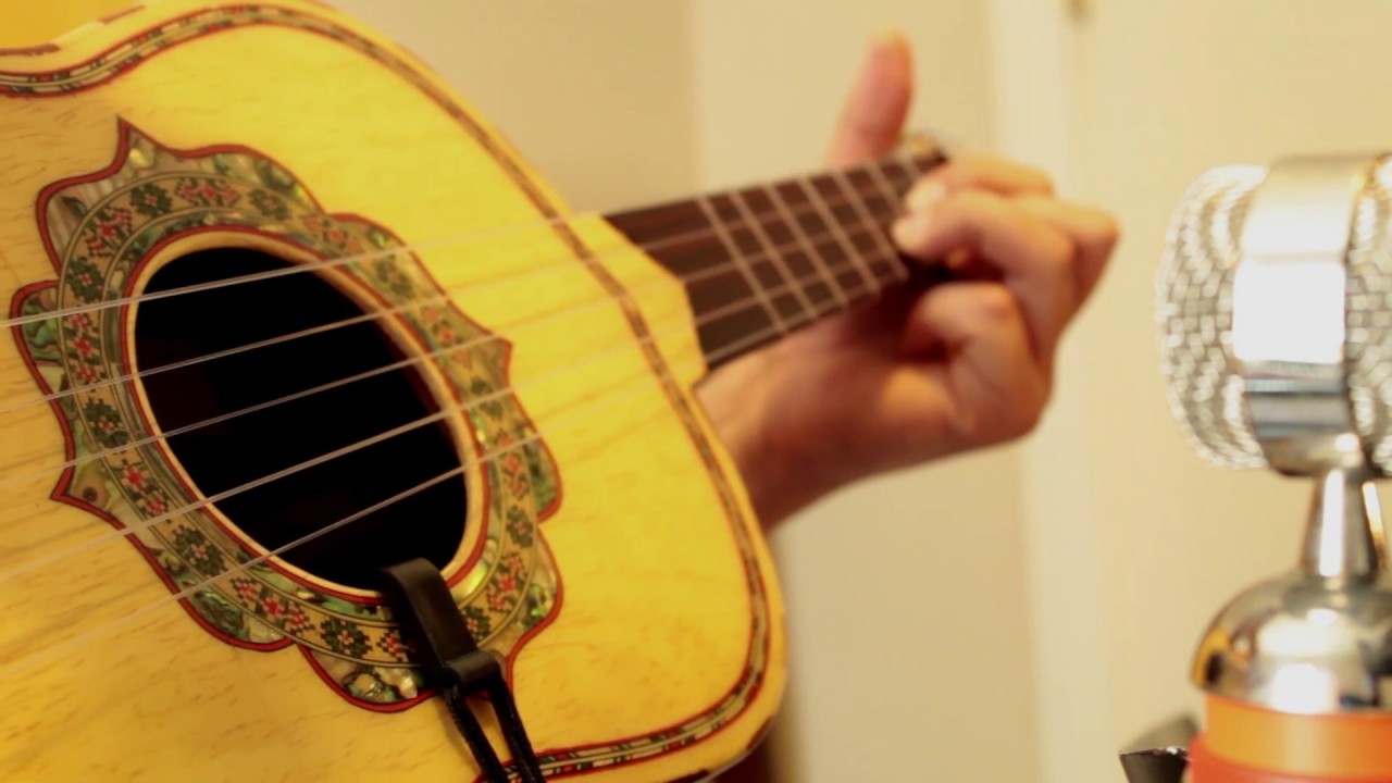 Promotional video thumbnail 2 for Mariachi Los Santaneros