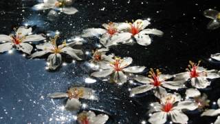 Toro y Moi - Embarcadero