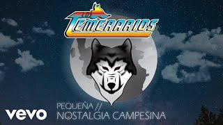 Los Temerarios - Nostalgia Campesina (Animated Video)