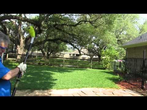 Sun Joe "SawJoe" pole chain saw