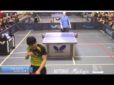 2015 Butterfly Aurora Cup - Open Singles Final