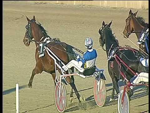 Trotto 12/11/2017 - 3ª corsa