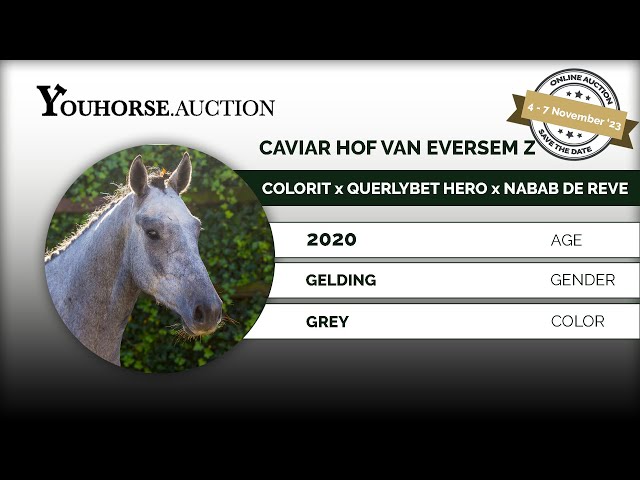 Caviar Hof van Eversem Z