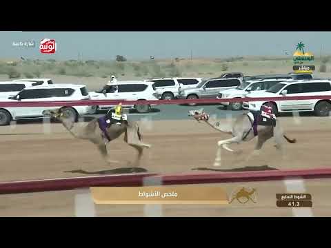 ملخص السباق , مهرجان الوسطى للفطامين 2026/04/19