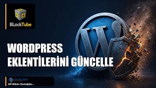 WordPress İşletmeleri İçin Altı Eklenti Açığına Karşı Güncelleme Uyarı