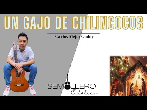 Un Gajo De Chilincocos - Carlos Mejia Godoy
