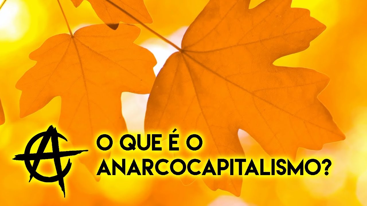 O que é o anarcocapitalismo?