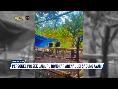 PERSONEL POLRES LAMURU PORES BONE BONGKAR ARENA JUDI SABUNG AYAM