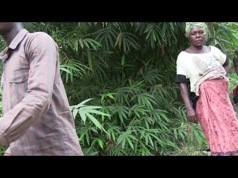 Daniel's Home Visit and the unfinished Moyateh Bridge, Yoni Chiefdom.