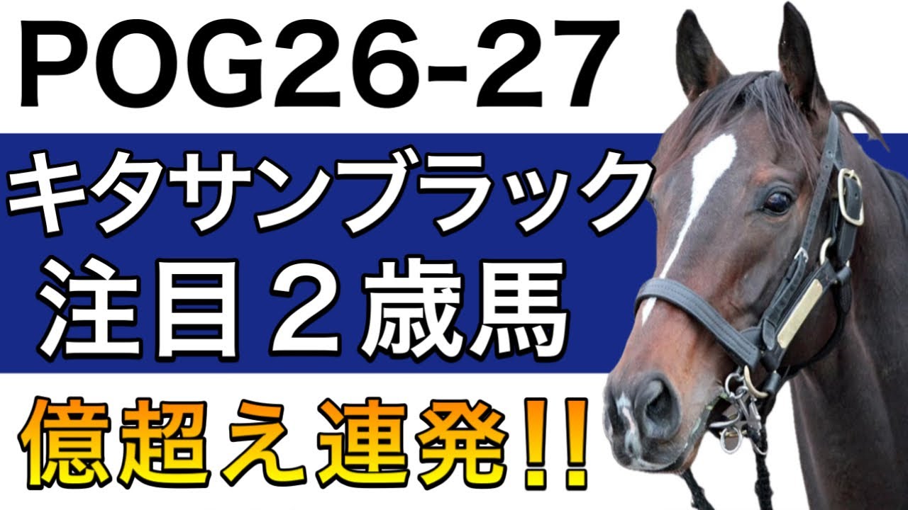【POG/26−27】キタサンブラック産駒の注目２歳馬をリストアップ！【億超え連発のバブル世代‼️次シーズン向け】