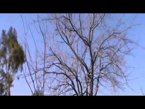 استهداف لواء أبو دجانة بقذائف الهاون فوج المدفعية 137 في بلدة خان الشيح في ريف دمشق ضمن معركة "الفتح"