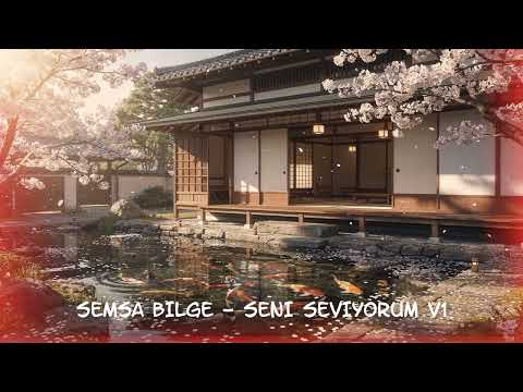 SEMSA BILGE - SENI SEVIYORUM V1
