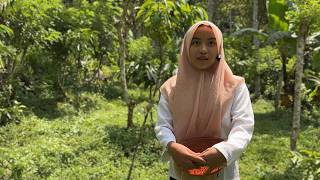 Download lagu ALMOST LOST IN THE FOREST...! THE STRUGGLE OF AN ORPHAN GIRL TO SURVIVE IN THE MIDDLE OF THE FOREST mp3