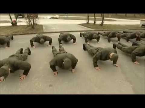 Bundesheer 1/3 Jagdkommando - AUSWAHLVERFAHREN (Österreich/Austria)