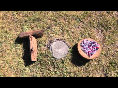 Madame & Zmar: It´s Echo-Logic Too - SWIM!