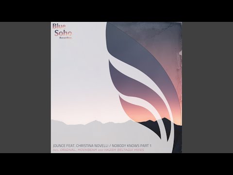 Nobody Knows (Moonbeam Remix)