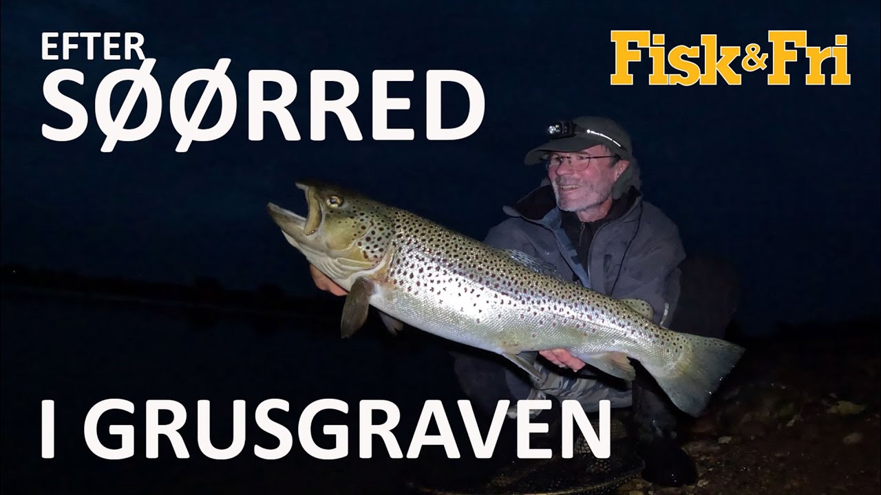 NY VIDEO: EFTER SØØRREDER I GRUSGRAVEN