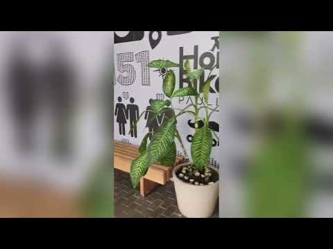 Thumbnail do Vídeo