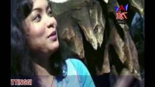 Download lagu Lenny Asitha-Peluk Aku  Dangdut India terpopuler mp3