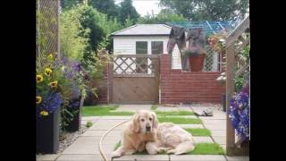 Thea Gilmore 30 more days