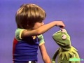 Classic Sesame Street Kermit Kim Same Different