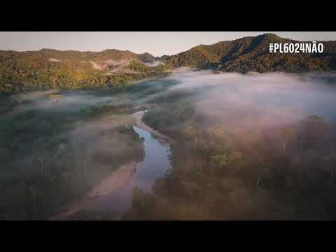 PL  6024 NÃO - Serra do Divisor