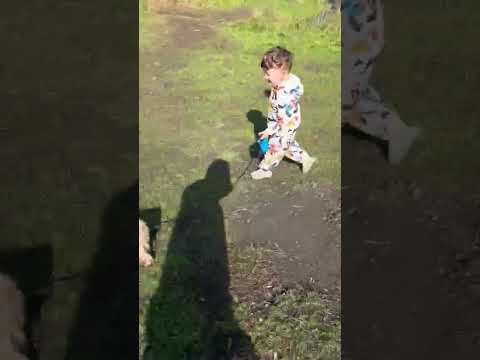 Cum să folosești energia bebelușului?😂 #mamivlog #mamasibebe #viatacudoicopii #viatademama