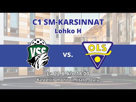 VSS - OLS 22.8.2020 18:00