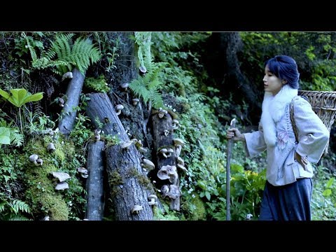 download lagu mp3 mp4 Let That Shiitake Go, download lagu Let That Shiitake Go gratis, unduh video klip Let That Shiitake Go
