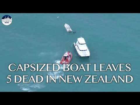 5 killed as fishing boat turned over by possible collision with whale in southern New Zealand