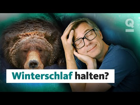 Den Winter einfach durchschlafen, ginge das? | Quarks Dimension Ralph