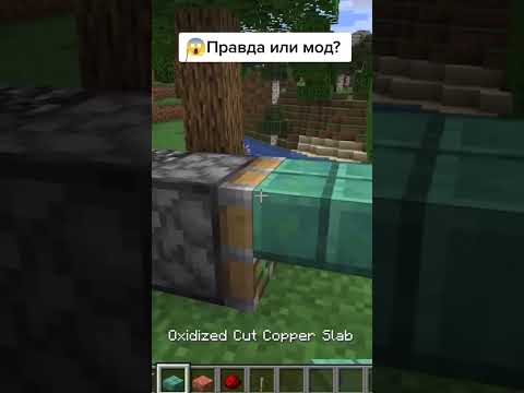 😱Правда или мод?😱 майнкрафт #майнкрафт #полублоки #minecraft