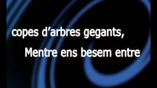 Manel - Dona estrangera (Karaoke)