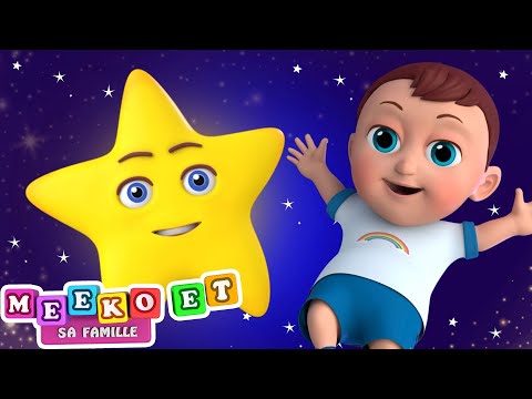 Brille Brille Petite Etoile 😻🌟 | Comptines et chansons pour enfants | Meeko's Family en Français
