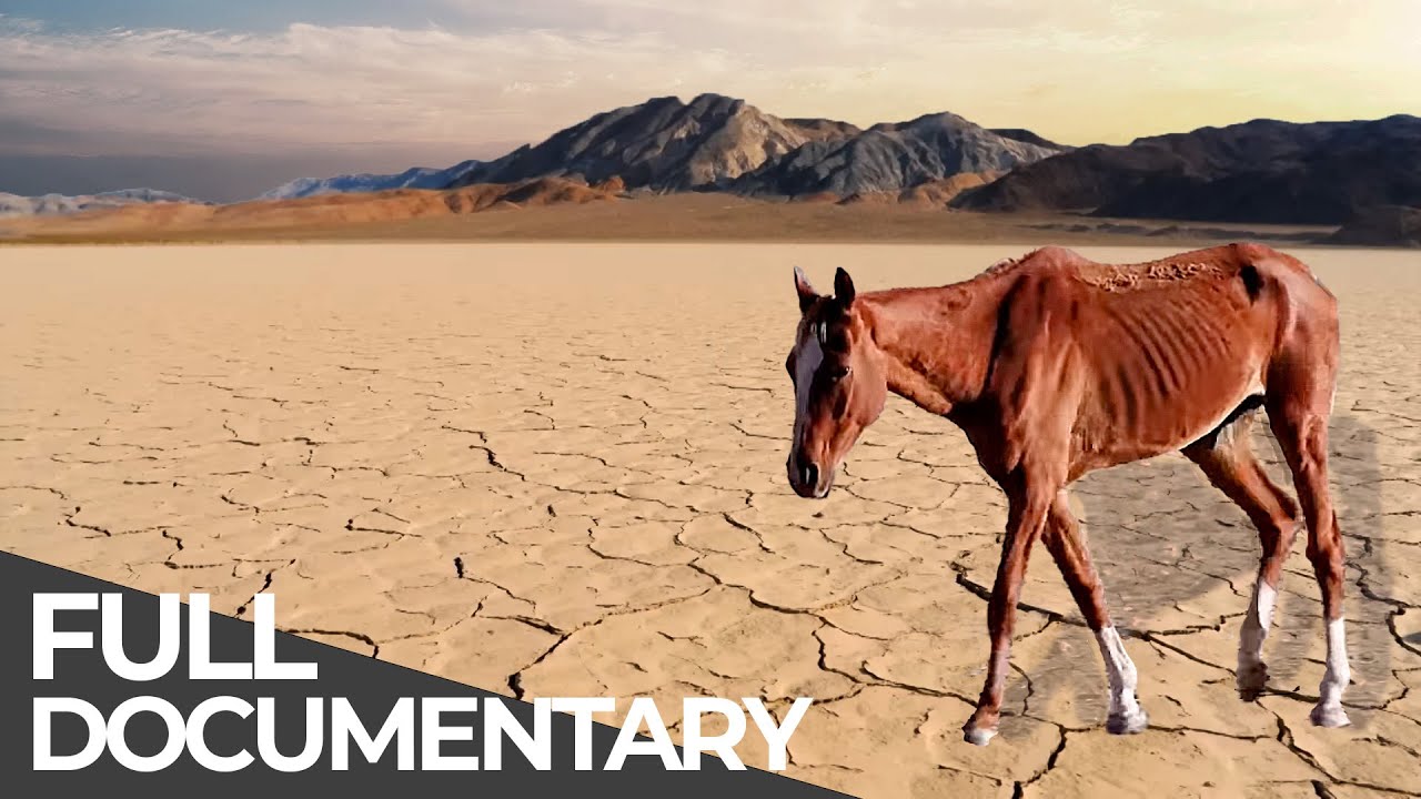Deadly Disasters: Drought | World's Most Dangerous Natural Disasters | Free Documentary
