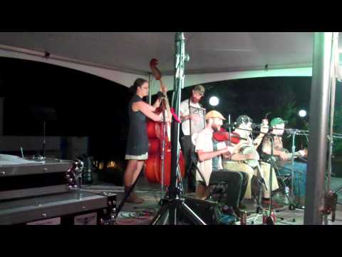 The Hokum High Rollers' Performance at the 10th Annual National Jug Band Jubilee