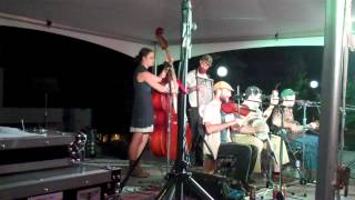 The Hokum High Rollers' Performance at the 10th Annual National Jug Band Jubilee