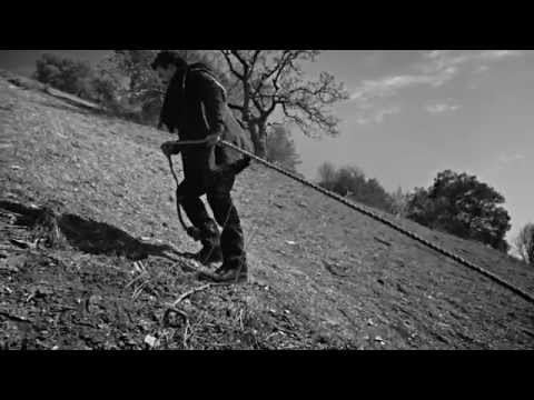 {Apnea} {Apnea} Best Songs