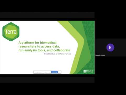 Webinar: Learn the basics of Terra