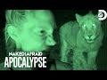 Survivalists Face Lions In The Dead Of Night Naked And Afraid Apocalypse Discovery