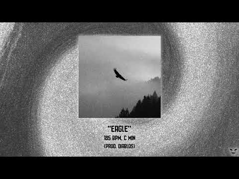 [FREE] LOTO x NOBODYLIKESBIRDIE DÉTROIT TYPE BEAT - ''EAGLE'' [prod. DIABLOS]