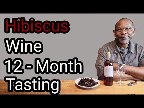 Homemade Hibiscus Wine 12 Month tasting