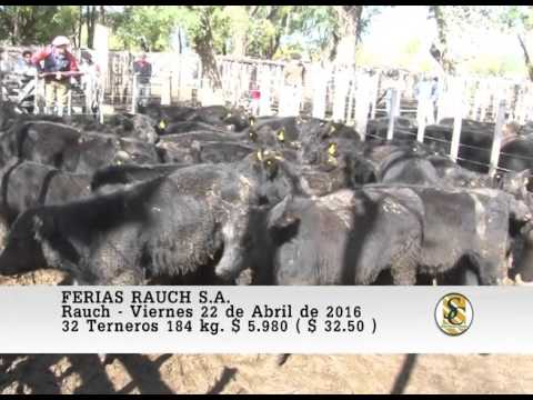 22-04-16 Venta de Machos - Ferias Rauch S.A. - Rauch.