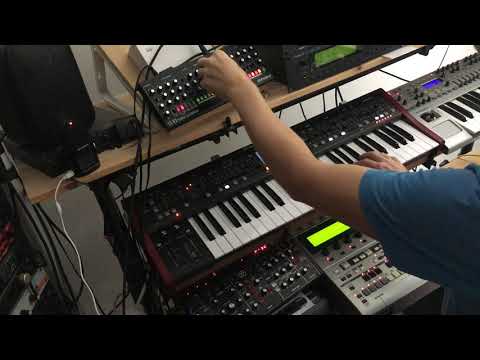 Roland SE-02 vs. Behringer Model D Jam