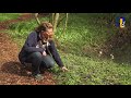 Natuur en Zo TV: verwilderingsbollen van Chantal Rijnen