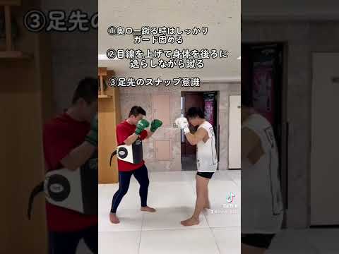目線フェイント左ミドルキック🤜#karate #kickboxing #キックボクシング #格闘技 #空手 #k1 #rise #rizin